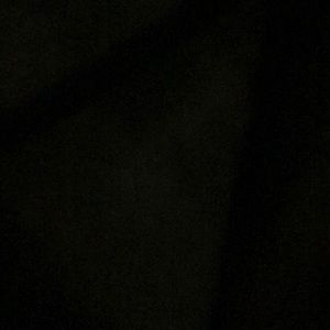 who tryna cashapp me?